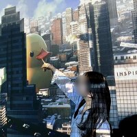 ささこ (@royerthoma51832) 's Twitter Profile