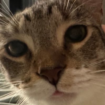 skim9695's profile picture. PhD candidate, BME at UT Austin