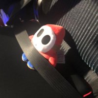 扡雷 (@zirai0fficial) 's Twitter Profile Photo