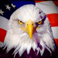 AJ (@aj47205863) 's Twitter Profile