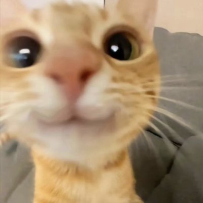 0xAcentix's profile picture. button clicker