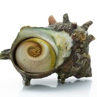 hu_ki_n's profile picture. まだまだ大きくなるよ