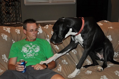 tylerwdocking's profile picture. Mechanical Engineer
Golfer