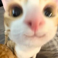 Gayemma 👾 (@gemmapxn) 's Twitter Profile
