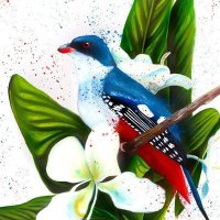 MaryCarySantiagoAcosta. (@barbycary) 's Twitter Profile