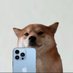 blockbullX.xyz💹🧲 (@blockbullx) Twitter profile photo blockbullX.xyz💹🧲 (@blockbullx) Twitter profile photo