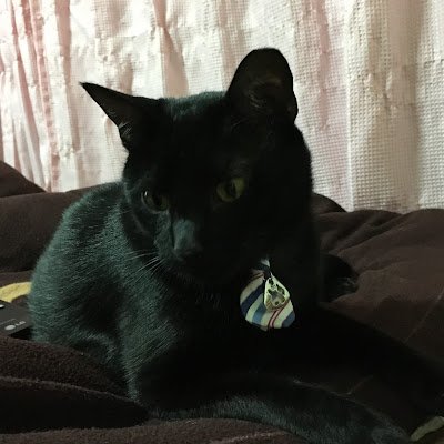 SunnyTai173548's profile picture. 做個有質感的Dom