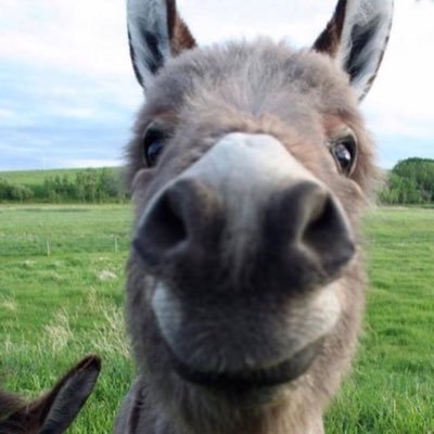 byebyemy__blue's profile picture. 