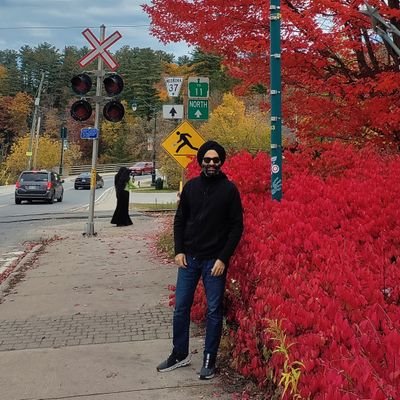 mesatin's profile picture. 