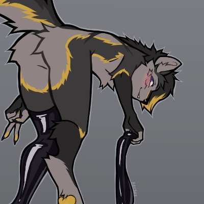 / 22 / Chitown! / CDMX🇲🇽 / Pan / Single! / Switch /🔞NSFW / AD of a certain yeen (@snepbang) /
