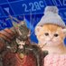 makaman (@makamancrypto) Twitter profile photo makaman (@makamancrypto) Twitter profile photo