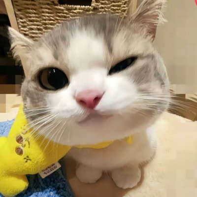 X1ercS8he840791's profile picture. #高雄約炮  #台南約炮 熟女人妻老姐姐 30歲/40歲/50歲/敢玩/大尺度/技術讚/斯杯秀多 肉肉女胖妹妹 （80kg/70kg/棉花糖/bbw/肉感/歐美身材）