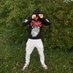 ๐ (@wardvdh) Twitter profile photo ๐ (@wardvdh) Twitter profile photo