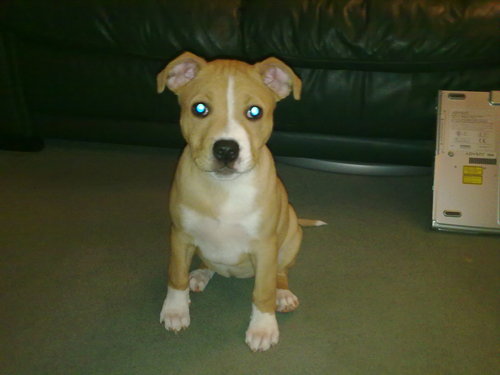 EmOdoh's profile picture. 