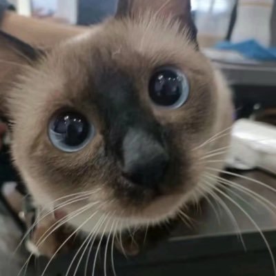 lennikさんのプロフィール画像