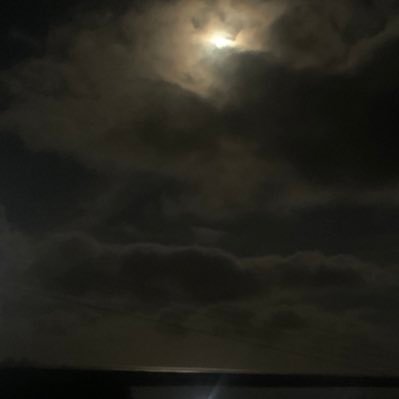 Will1am_idk's profile picture. it’s okay, it’s just a thousand cuts