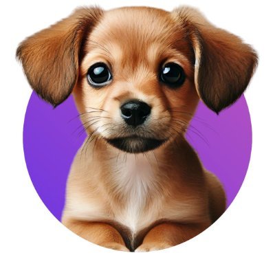 WillyCTO_SOL's profile picture. 