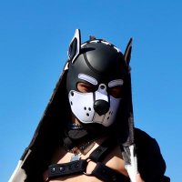 Mailo_pup (@mailo_pup) 's Twitter Profile Photo
