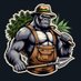 GurrillaGrowman (@gurrillagrowman) Twitter profile photo GurrillaGrowman (@gurrillagrowman) Twitter profile photo