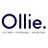 Ollie avatar