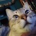 g298 (@gabeludwig298) Twitter profile photo g298 (@gabeludwig298) Twitter profile photo