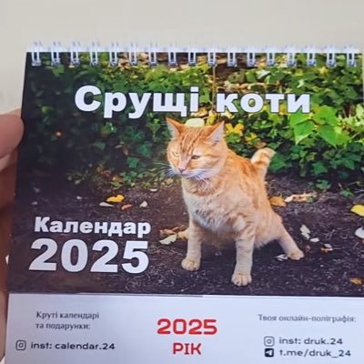 navchytel's profile picture. Everything