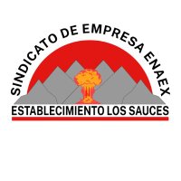 Sindicato Enaex Establecimiento Los Sauces (@sindicato_enaex) 's Twitter Profile Photo