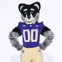 Harry The Husky (@harrythehusky) 's Twitter Profile