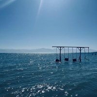 Mareaam (@mare_aam) 's Twitter Profile