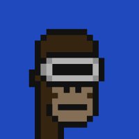 ApeChainPunks (@apechain_punks) 's Twitter Profile