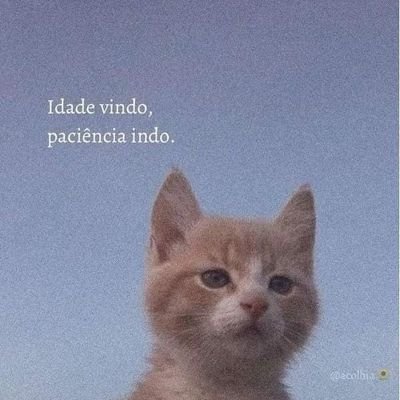 Farmacêutica/IFRJ 👩🏻🔬💊
Vascaína,
Aquariana com estômago em Touro e
Defensora do SUS 👊🏼