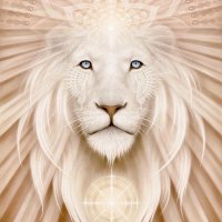 Eyes Open (@dopleasewakeup) 's Twitter Profile Photo