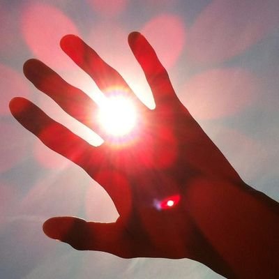 Trinitus01's profile picture. Software-Development