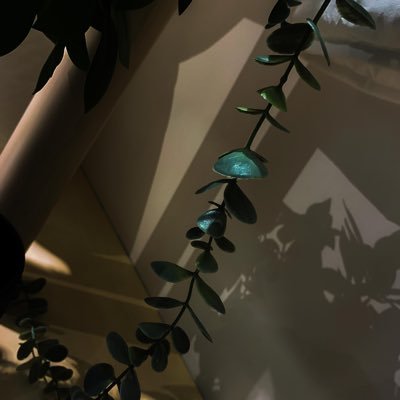 hlo_ali18238's profile picture. photographer