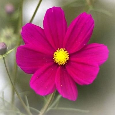 K1wi_4eva's profile picture. A middle aged lady excited to see the new plans for our great nation and our health care system.