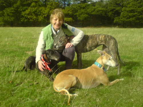 Hello. I am a Canine Massage Therapist. I specialise in the manipulation of soft tissue to relieve pain from muscular injuries