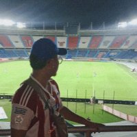↯ (@crocodoc_) 's Twitter Profile