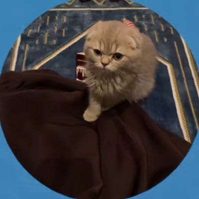 حين اتوفى ستدخلون هنا لتقرأو ماكتبت فإن وجدتم مايؤجرني انشروه وأن وجدتم مايؤثمني فاتركوه ❤️.