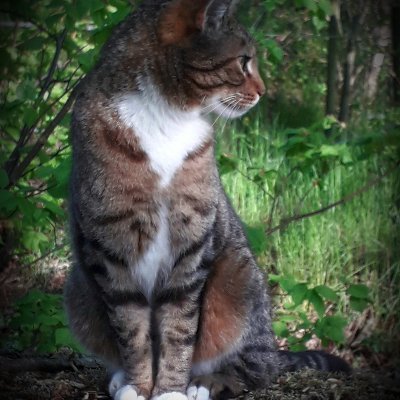 Britt987821931's profile picture. 