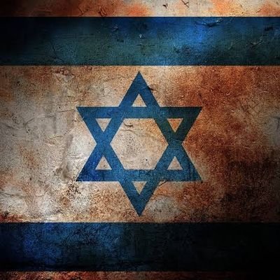 MichalHila's profile picture. Valor in Action, Courage Under Fire 🇮🇱 🇮🇱
