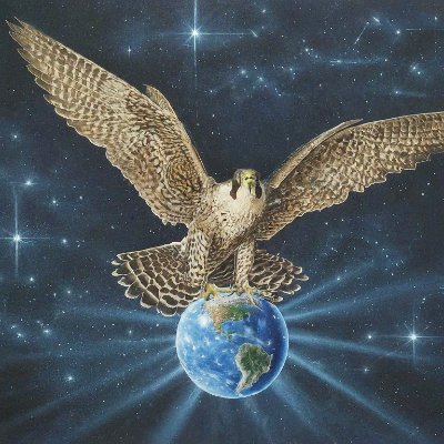 MrsDonleyKMS's profile picture. The future isn't some elusive unattainable thing. It's a matter of time, Make plans!! Your choices are half chanced, take risks, and level up Your best!