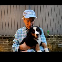 Andrew Blauner (@andrewblauner) 's Twitter Profile
