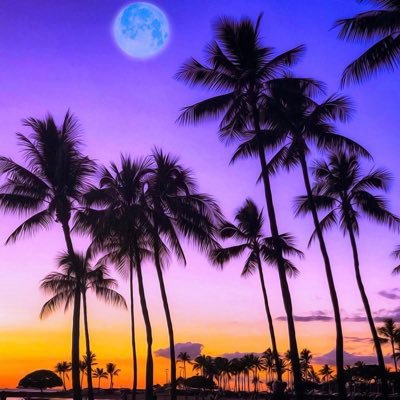 psRIPLItou52369's profile picture. 