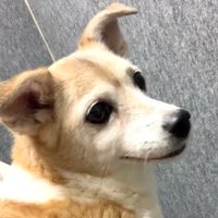 πγγγ±π&γγ‘γ (@copenco_) 's Twitter Profile
