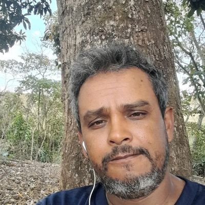 hellytampinha's profile picture. 