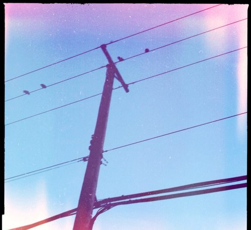 jeniferlyns's profile picture. 