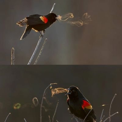 LookingForknews's profile picture. Looking for current news