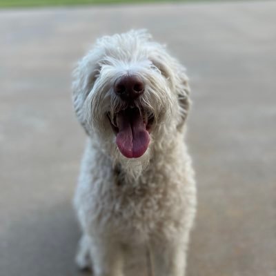 michelelshell's profile picture. I am married to a wonderful man and have 3 beautiful daughters.