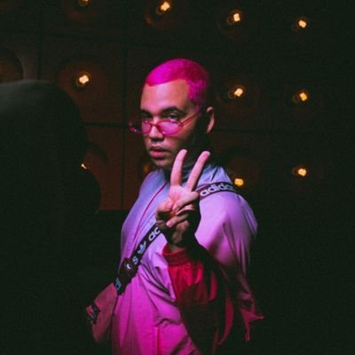 artista polifônico e eternamente frustrado por não ter sido vj da mtv brasil