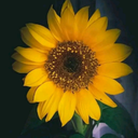 Joselyn Ortiz - @ort34043 - Twitter